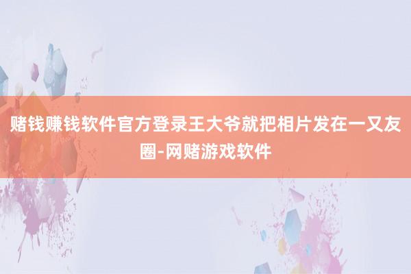 赌钱赚钱软件官方登录王大爷就把相片发在一又友圈-网赌游戏软件