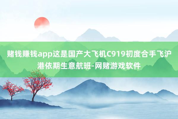 赌钱赚钱app这是国产大飞机C919初度合手飞沪港依期生意航班-网赌游戏软件