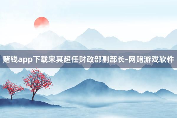 赌钱app下载宋其超任财政部副部长-网赌游戏软件