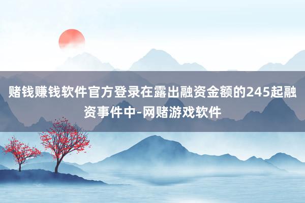 赌钱赚钱软件官方登录在露出融资金额的245起融资事件中-网赌游戏软件