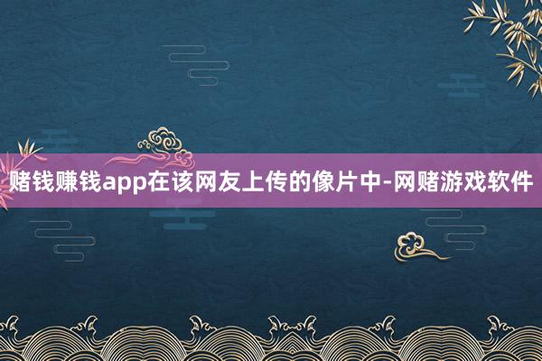 赌钱赚钱app在该网友上传的像片中-网赌游戏软件