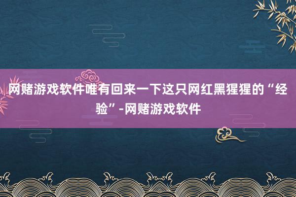 网赌游戏软件唯有回来一下这只网红黑猩猩的“经验”-网赌游戏软件