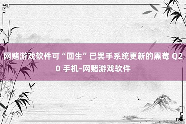 网赌游戏软件可“回生”已罢手系统更新的黑莓 Q20 手机-网赌游戏软件