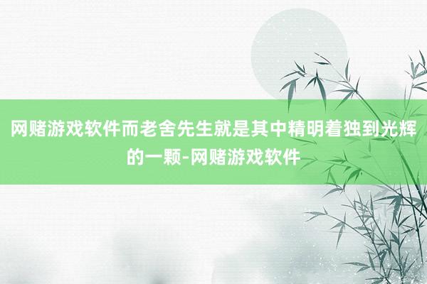 网赌游戏软件而老舍先生就是其中精明着独到光辉的一颗-网赌游戏软件